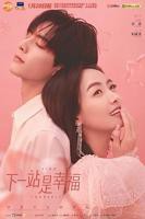 《下一站是幸福》电视剧国语高清免费完整版观看在线全集